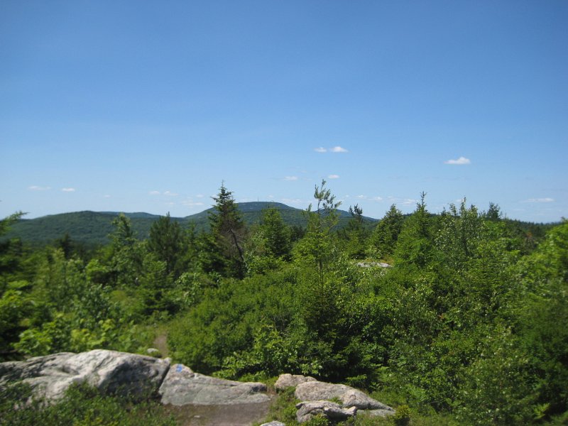MtMajor (23).JPG - A view towards Mt Major. Lots of blueberries nearby.
